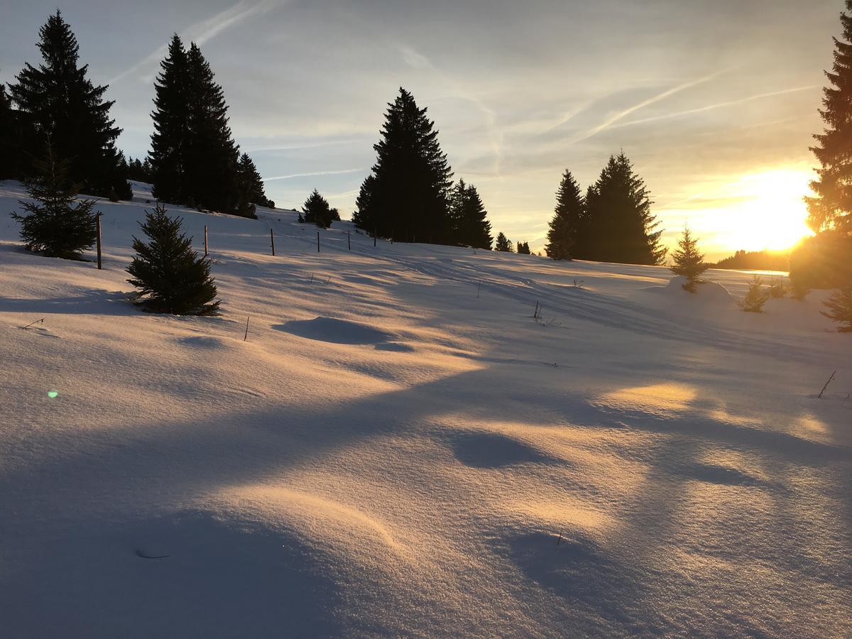 Schwarzwald-Hotel Kraeutle Feldberg  Eksteriør bilde